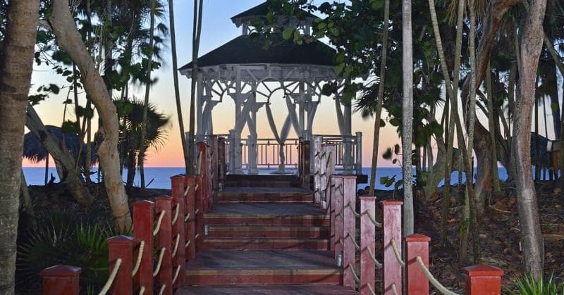 Sol Palmeras, Conferences