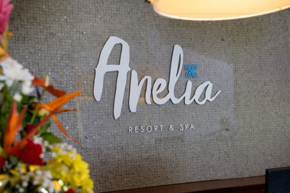 Anelia Resort & Spa, Reception