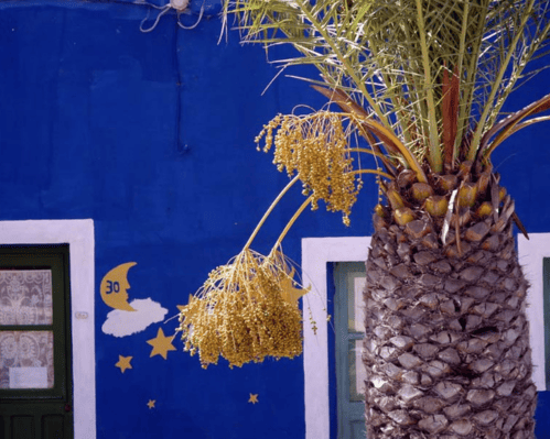 Appartamenti Roulette Linosa, 