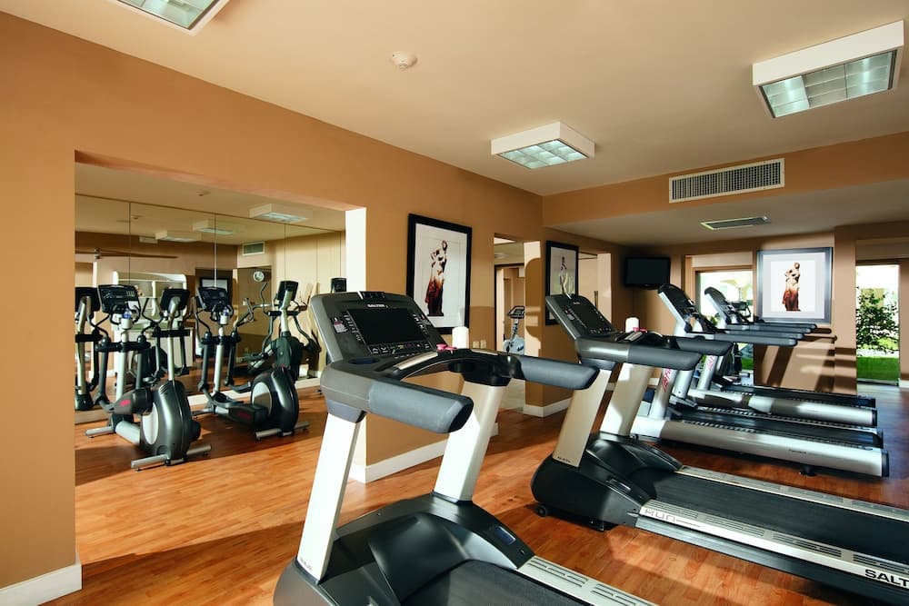 Dreams Royal Beach Punta Cana - All Inclusive, Gym
