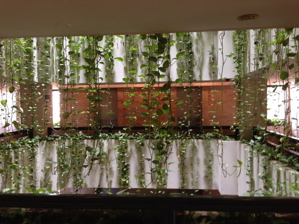 Apart Hotel Toborochi, Lobby