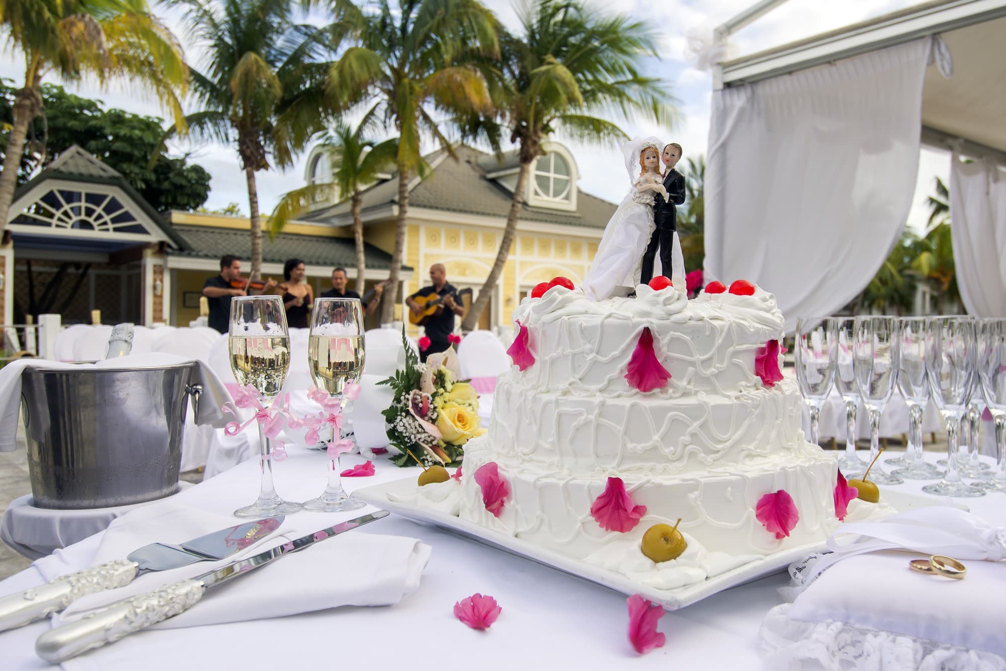 Melia Peninsula Varadero, Conferences