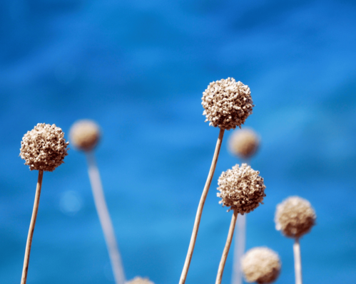 Residence Punta sottile, 