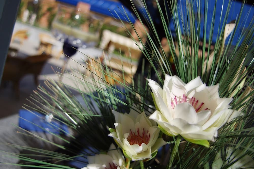 Pacific Hotel Fortino , Lobby lounge