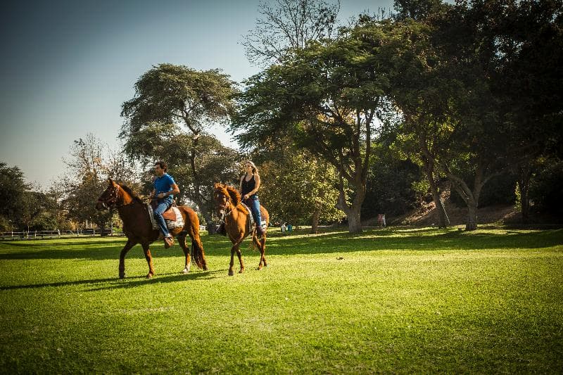 Hotel Las Dunas, DEP