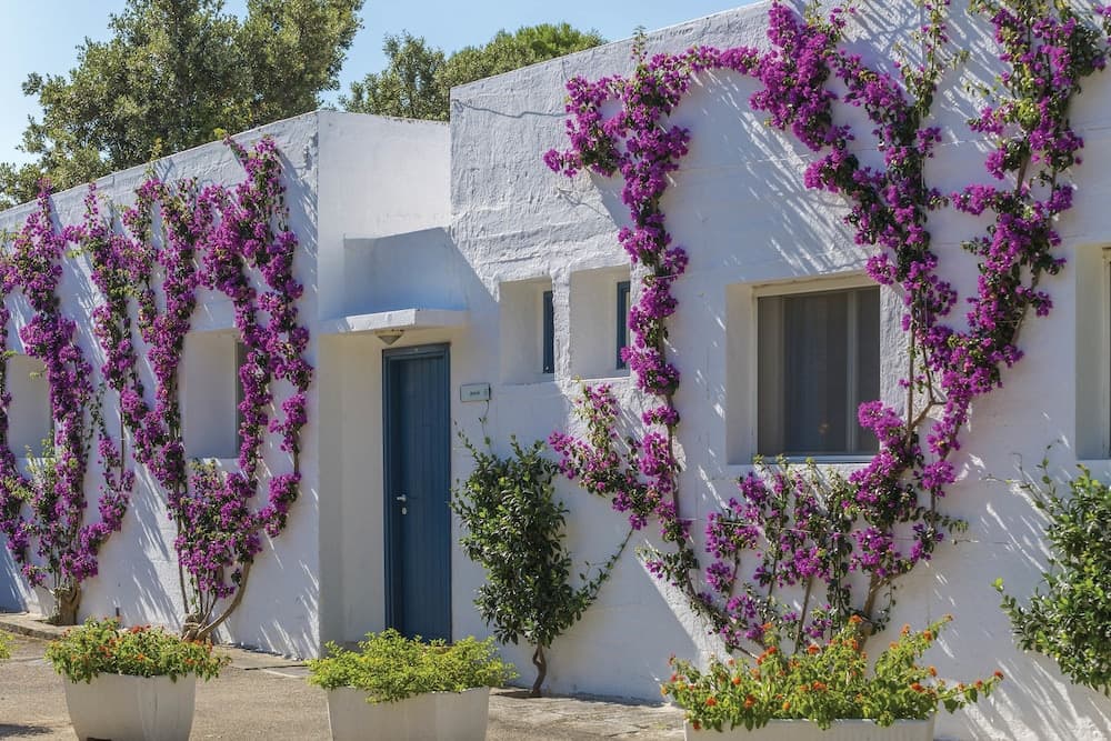 TH Ostuni - GATTINONI, Exterior