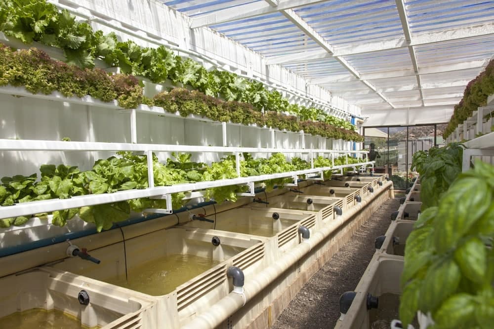 Aquila Private Game Reserve & Spa, Garden