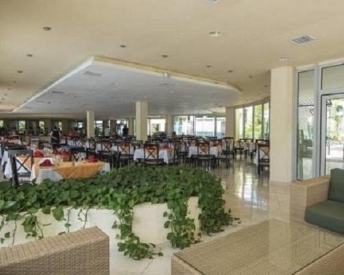 Allegro Palma Real , 