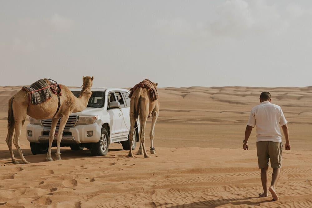 Luxury Desert Camp, Front of property