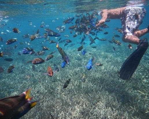 Coral Redang Island Resort - Trasferimenti Land&Sea Inclusi - Airone Selection, 