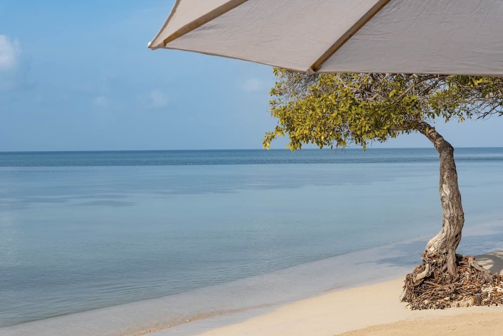 Hotel Isla del Encanto, Beach