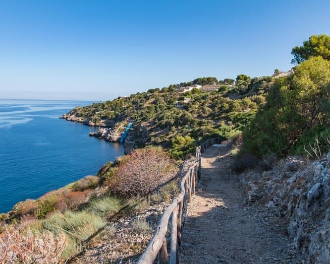 CDS Hotels Terrasini - GATTINONI, 