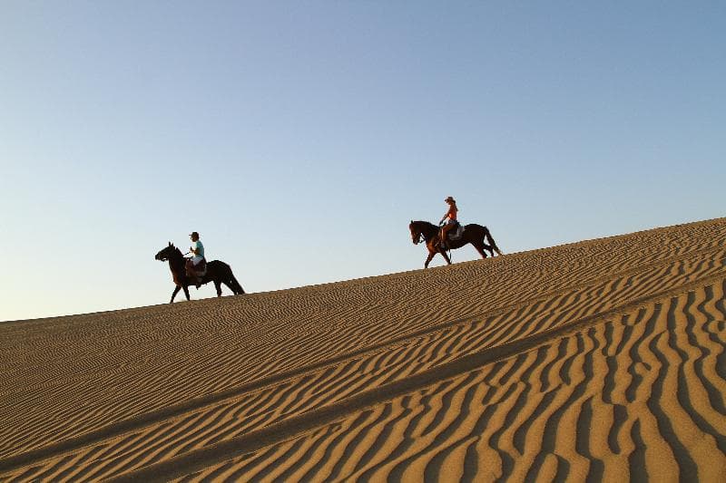 Hotel Las Dunas, DEP