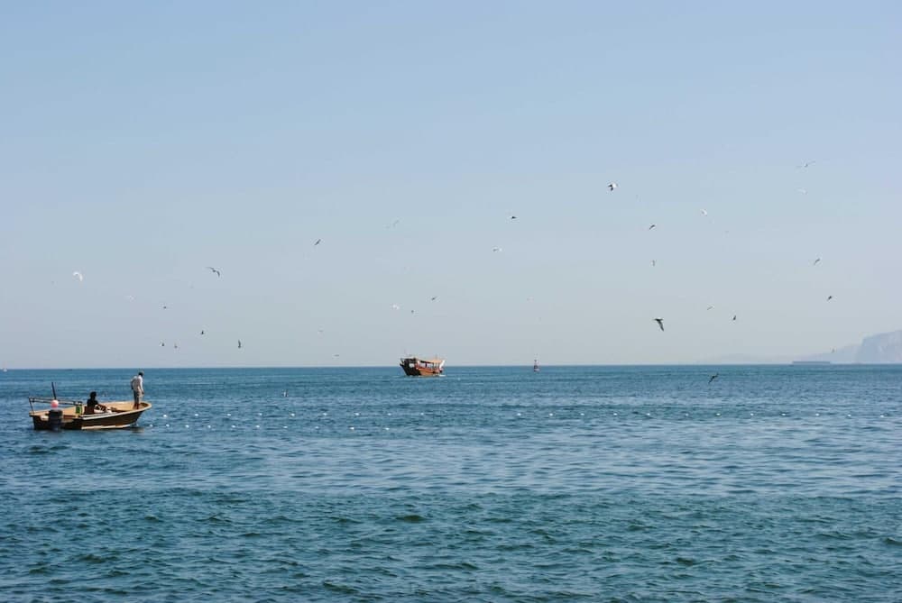 Atana Khasab Hotel, Beach