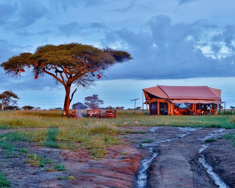 PUMZIKA LUXURY CAMP, 