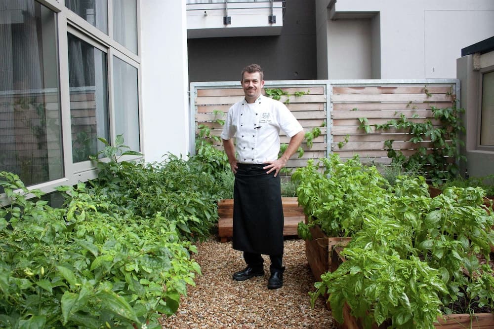 DoubleTree by Hilton Cape Town - Upper Eastside, Garden