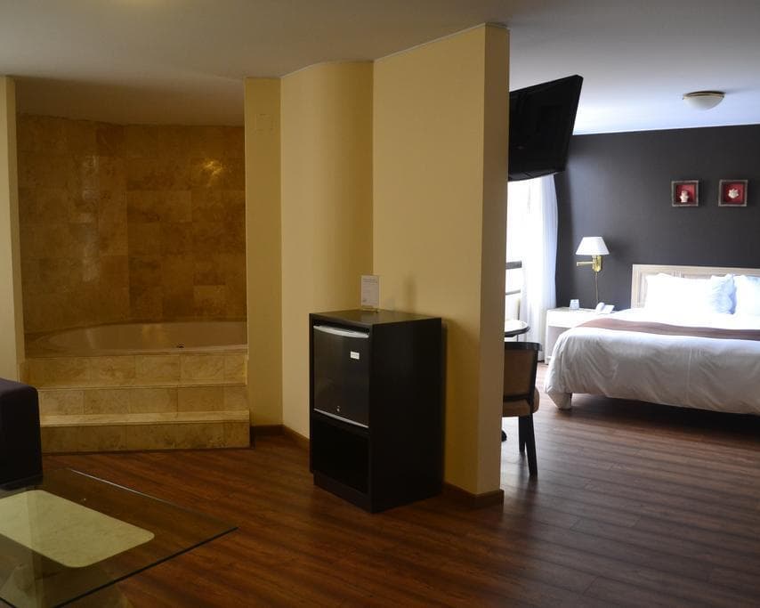 Hotel José Antonio executive , 