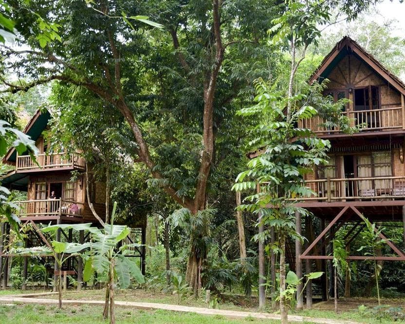 Our Jungle House Lost Horizons, 