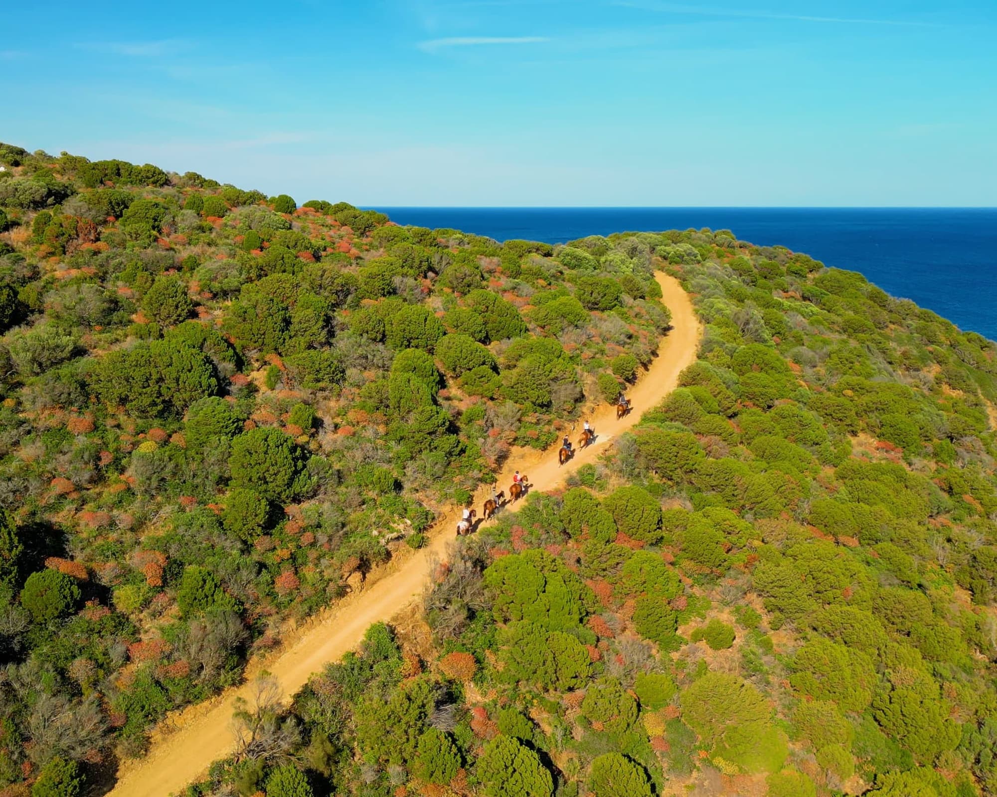 Veridia Resort, Member of Radisson Individuals - GATTINONI, 