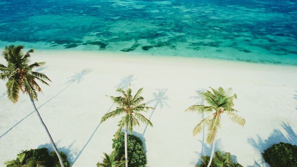 Jawakara Islands Maldives, Room
