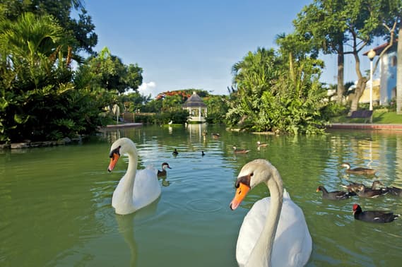 IBEROSTAR HACIENDA DOMINICUS, 