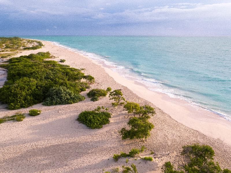 Grand Palladium Costa Mujeres Resort & Spa – All I, PLA