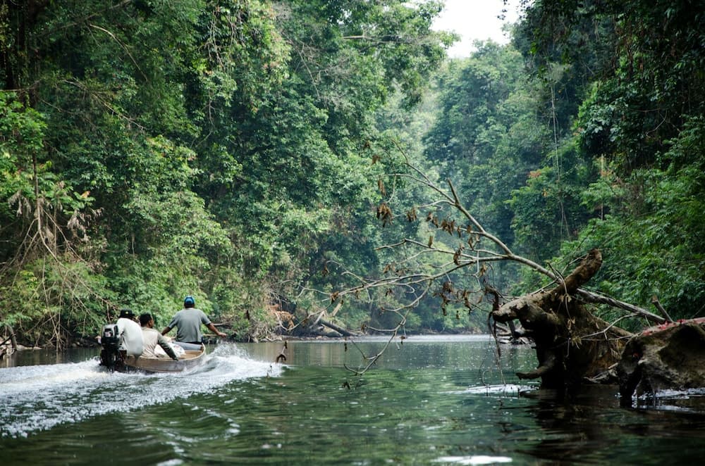 Mutiara Taman Negara, Ecotours