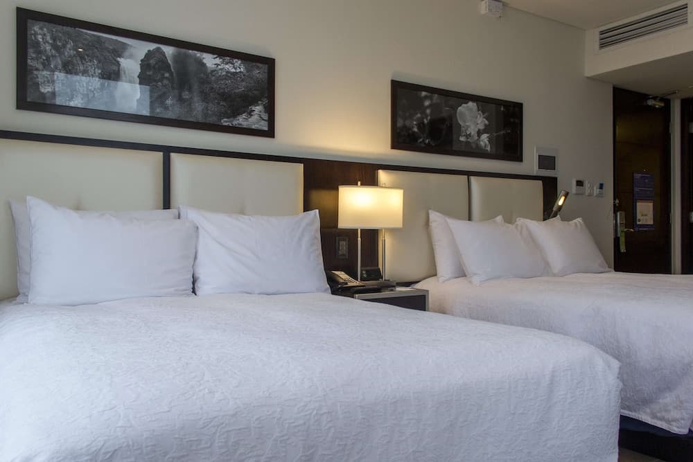 Hampton by Hilton Santa Cruz, Room