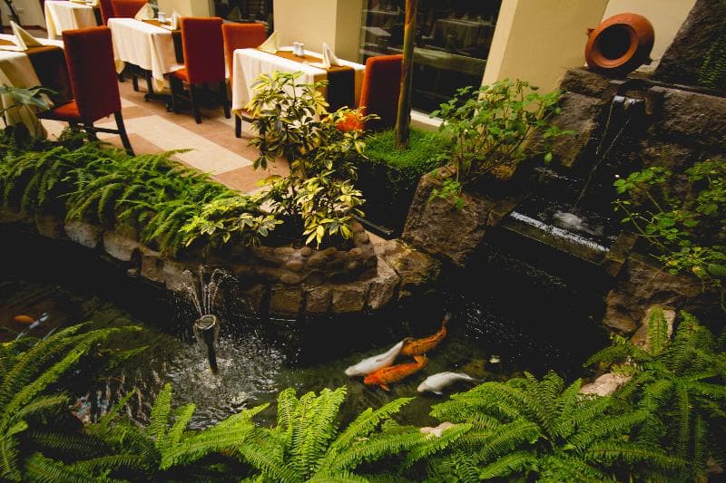 Xima Exclusive Cusco, TER