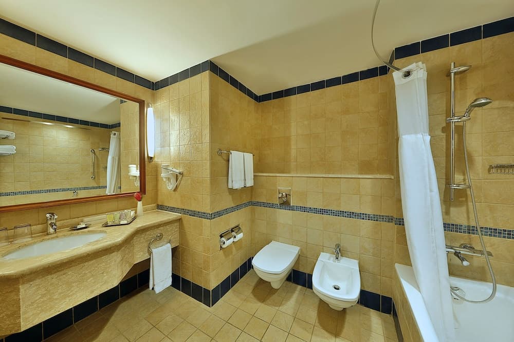 Crowne Plaza Jordan Dead Sea Resort & Spa, an IHG Hotel, Bathroom Amenities