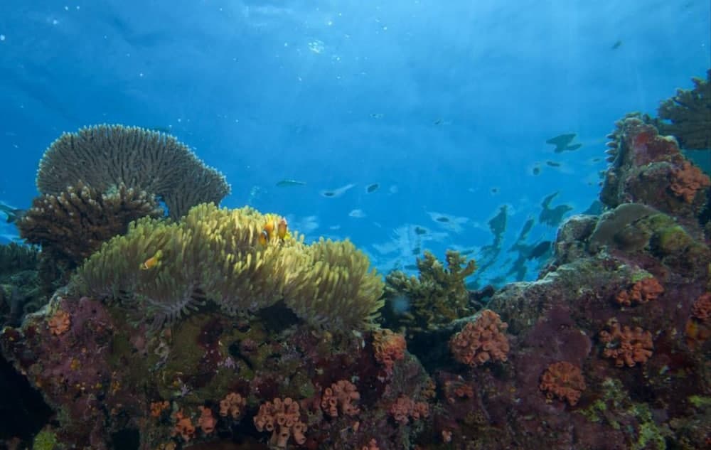 Hurawalhi Island Resort, Sports facility