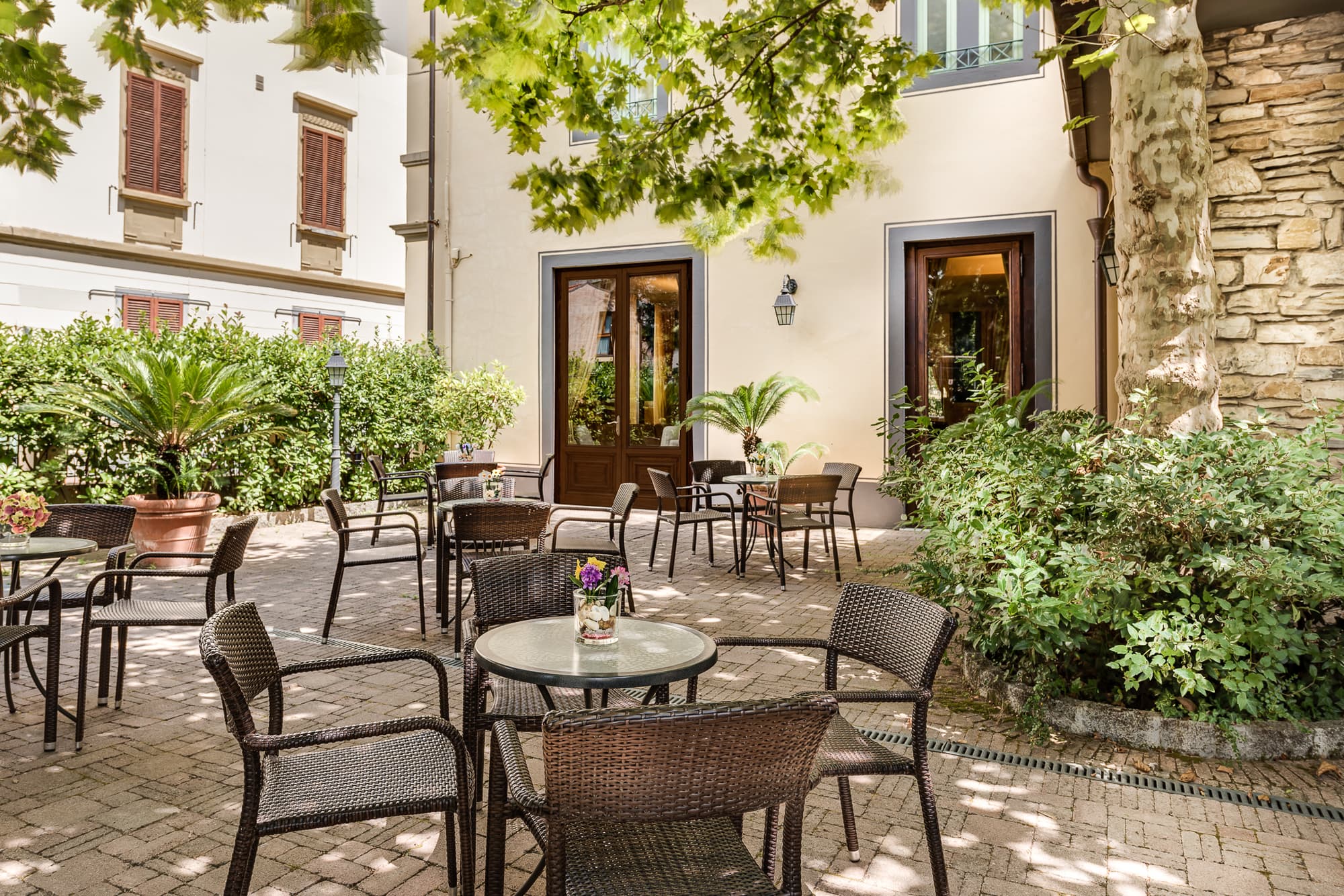 Da Vinci, General view