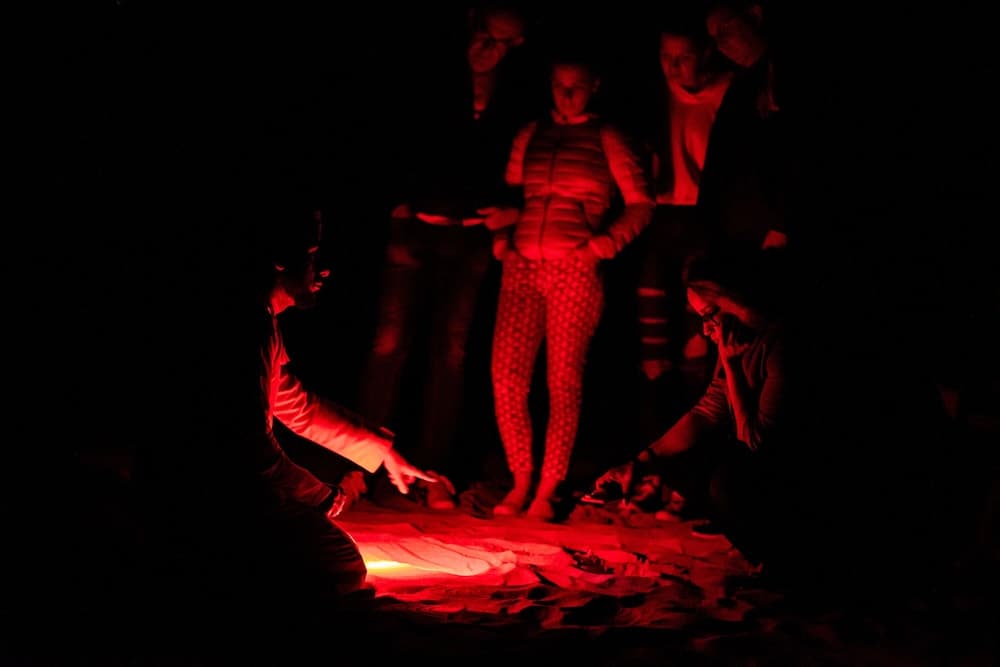 Ras Al Jinz Turtle Reserve, Ecotours