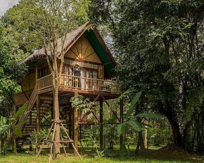 Our Jungle House Lost Horizons, 