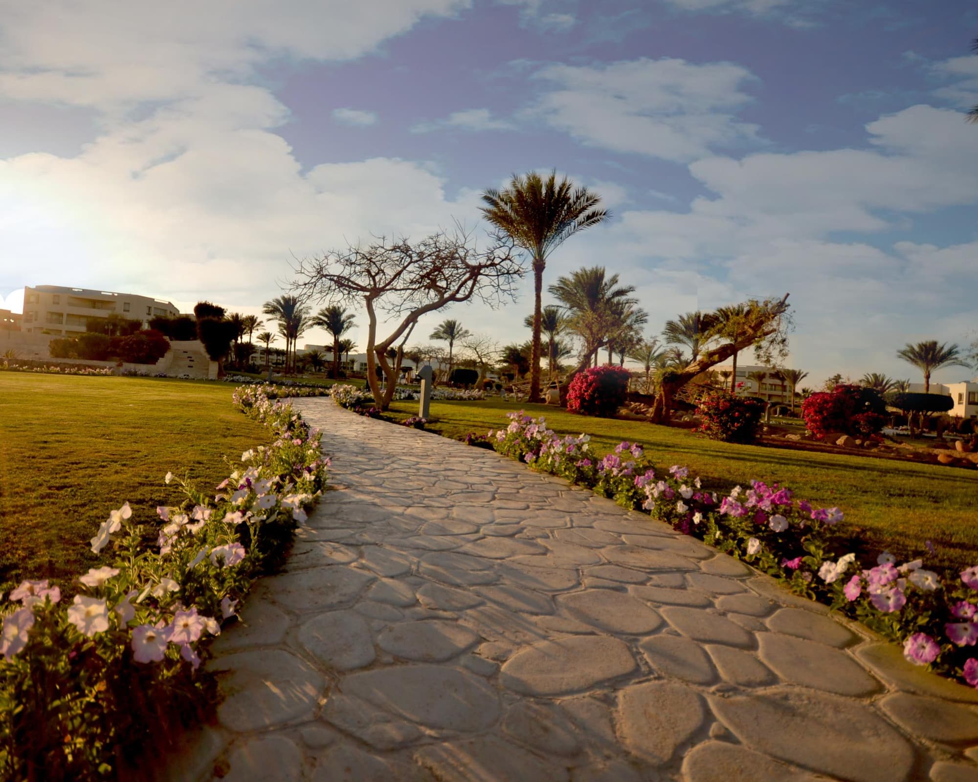 Aurora Oriental Resort - GATTINONI, 