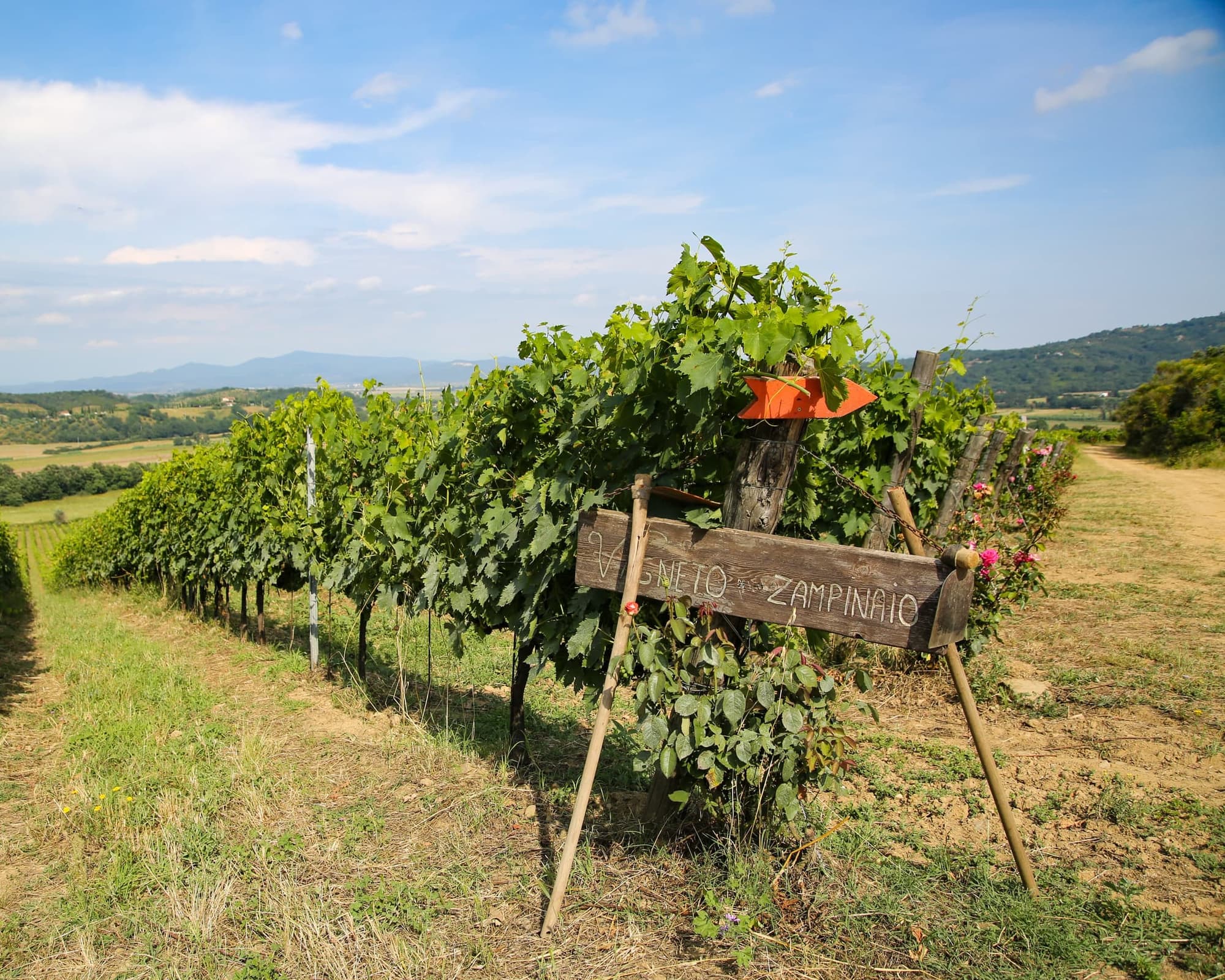 Montebelli Agriturismo & Country Hotel, 