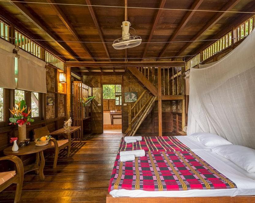 Our Jungle House Lost Horizons, 