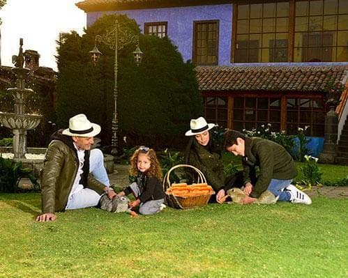 HOSTERIA LA ANDALUZA , 