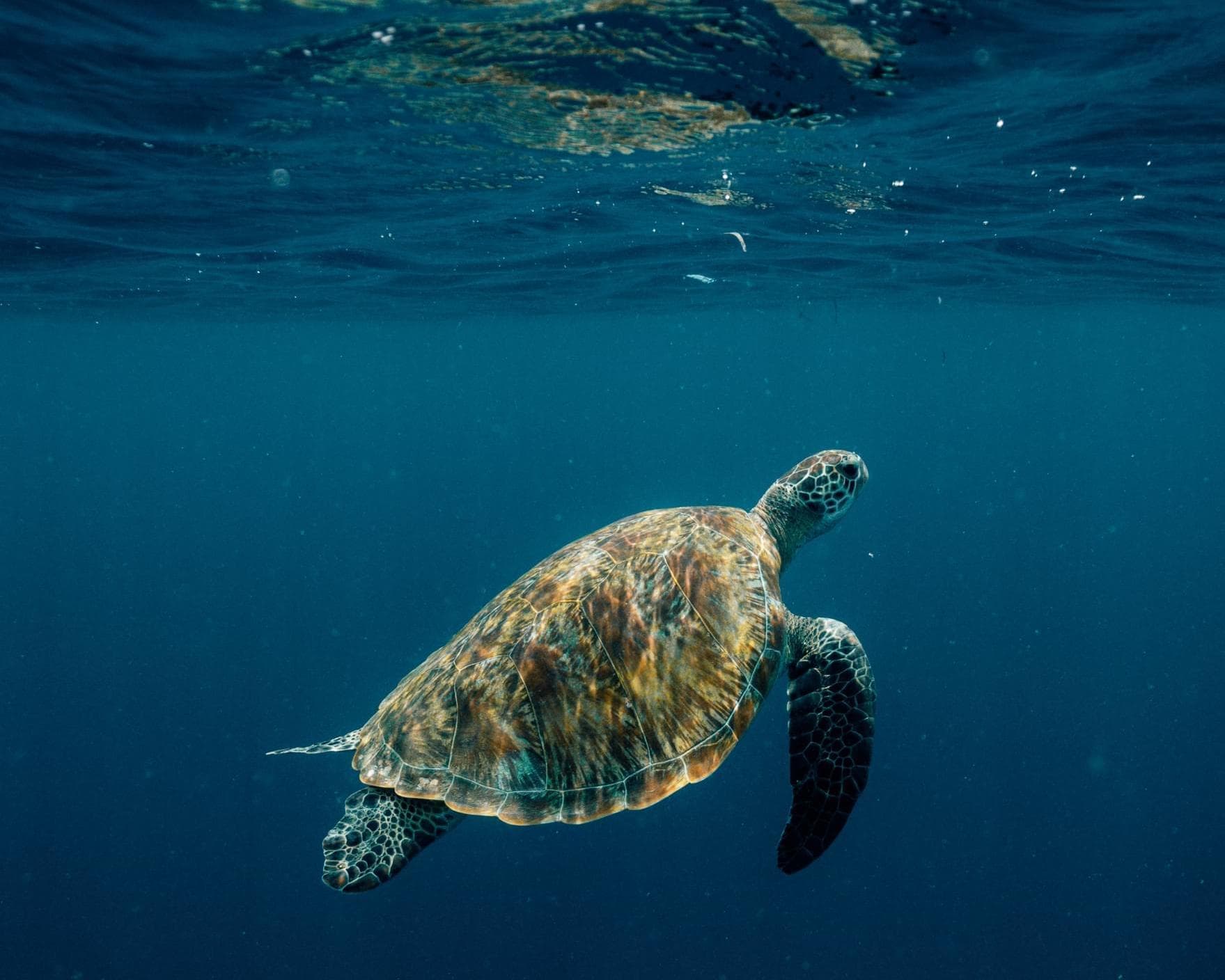 Villa Nautica, Paradise Island, 