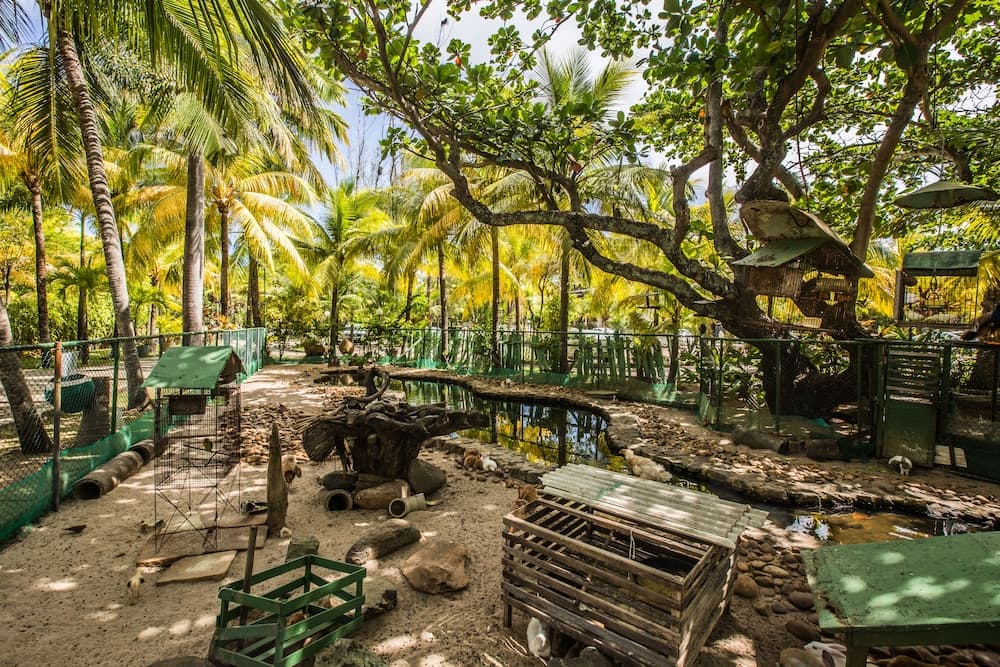 Catussaba Resort Hotel, Garden