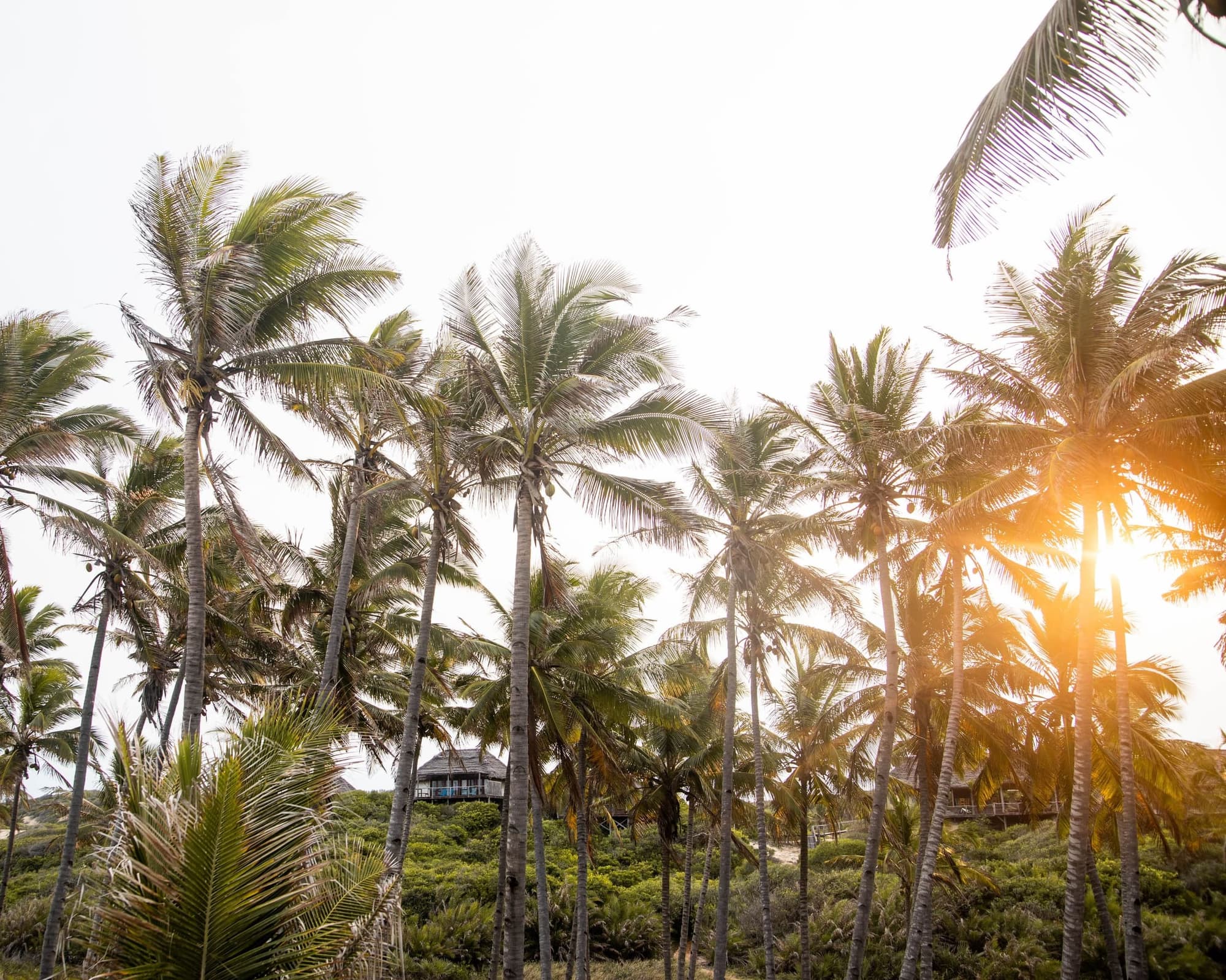 Travessia Beach Lodge, 