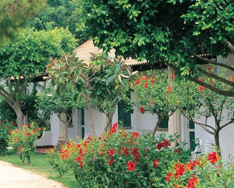 Amarestyle iGV Club Marispica, 