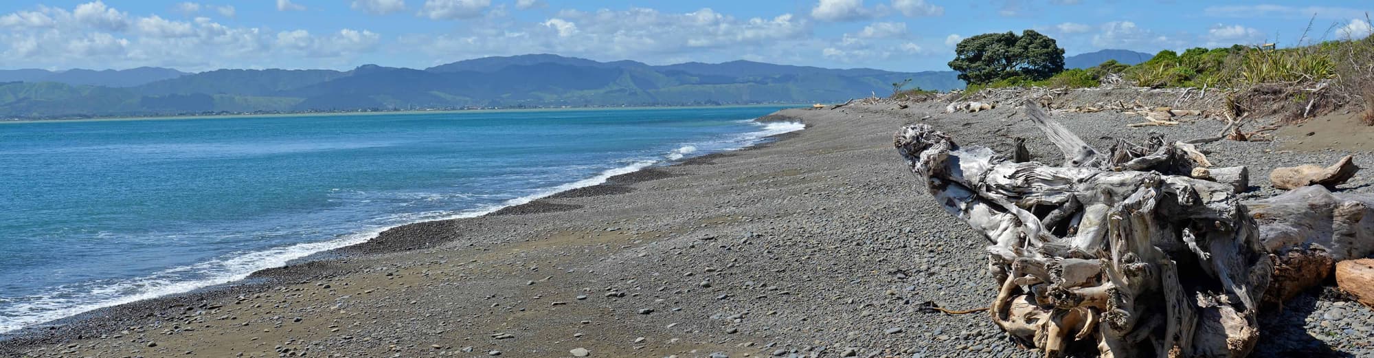 Kapiti Island, Northern Island, New Zealand