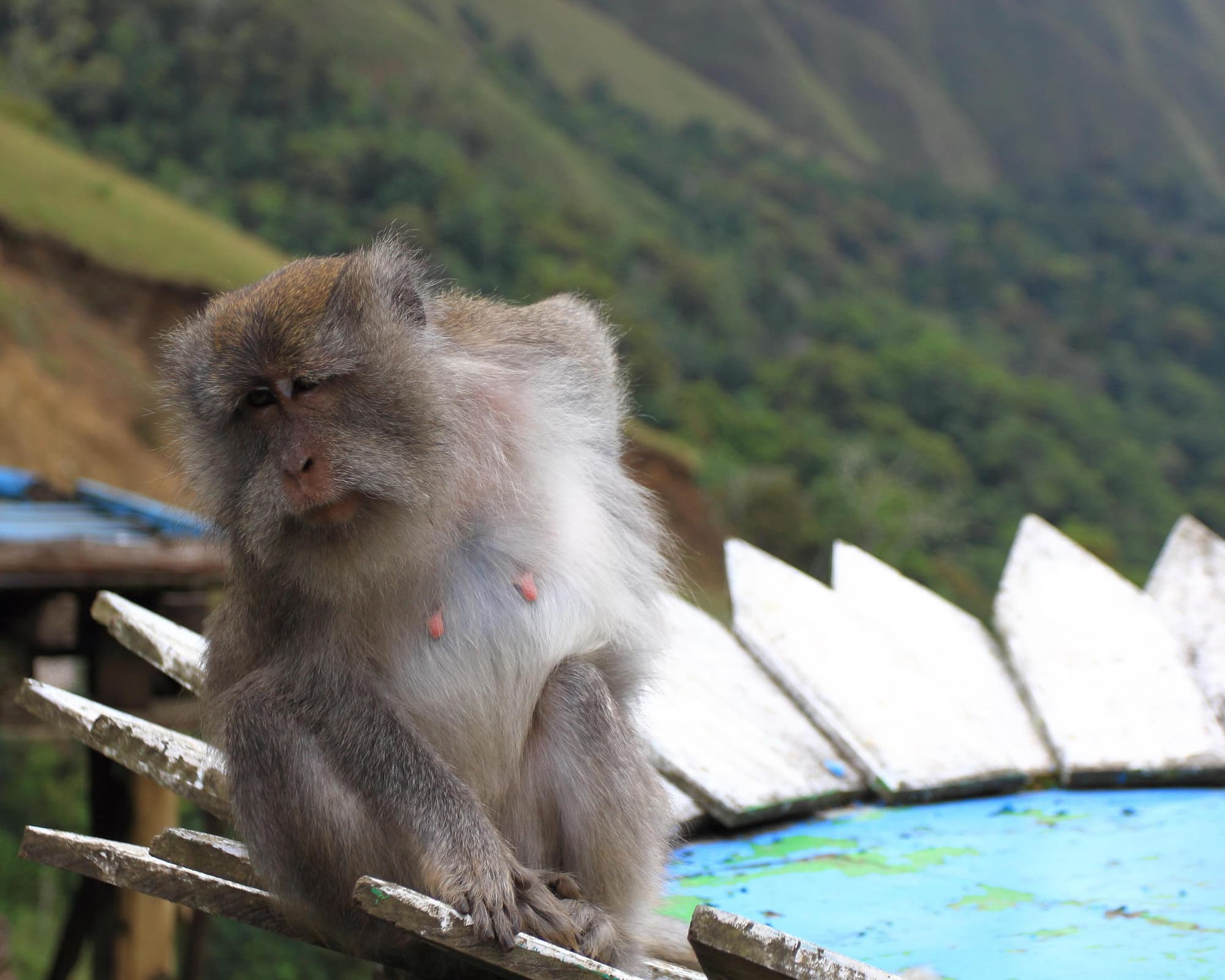 Cascata di Sendang Gile