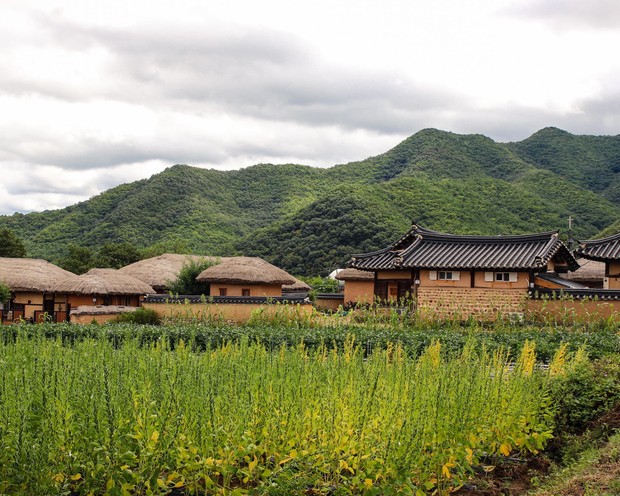 Korea, Beijing, and Shanghai (2026)