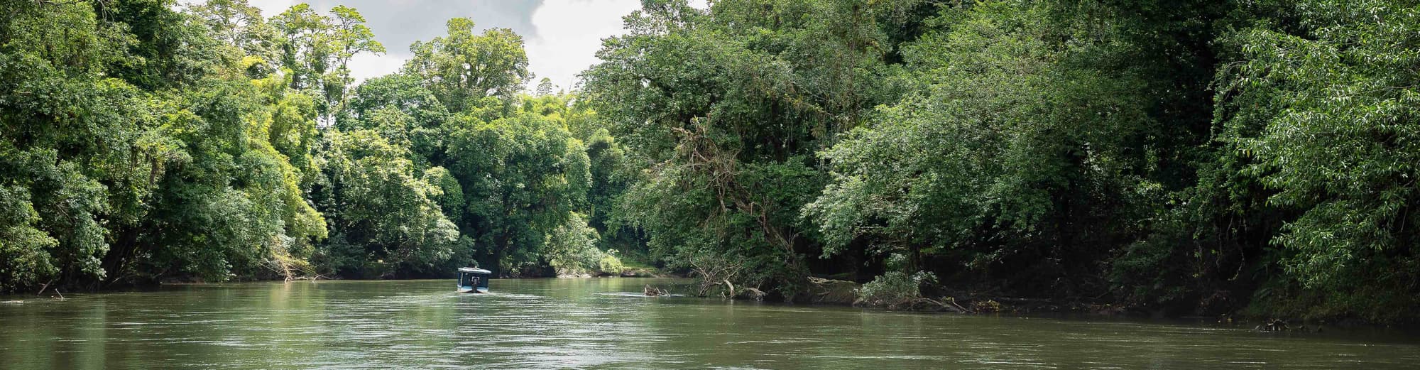 Floresta tropical de Sarapiquí, Costa Rica