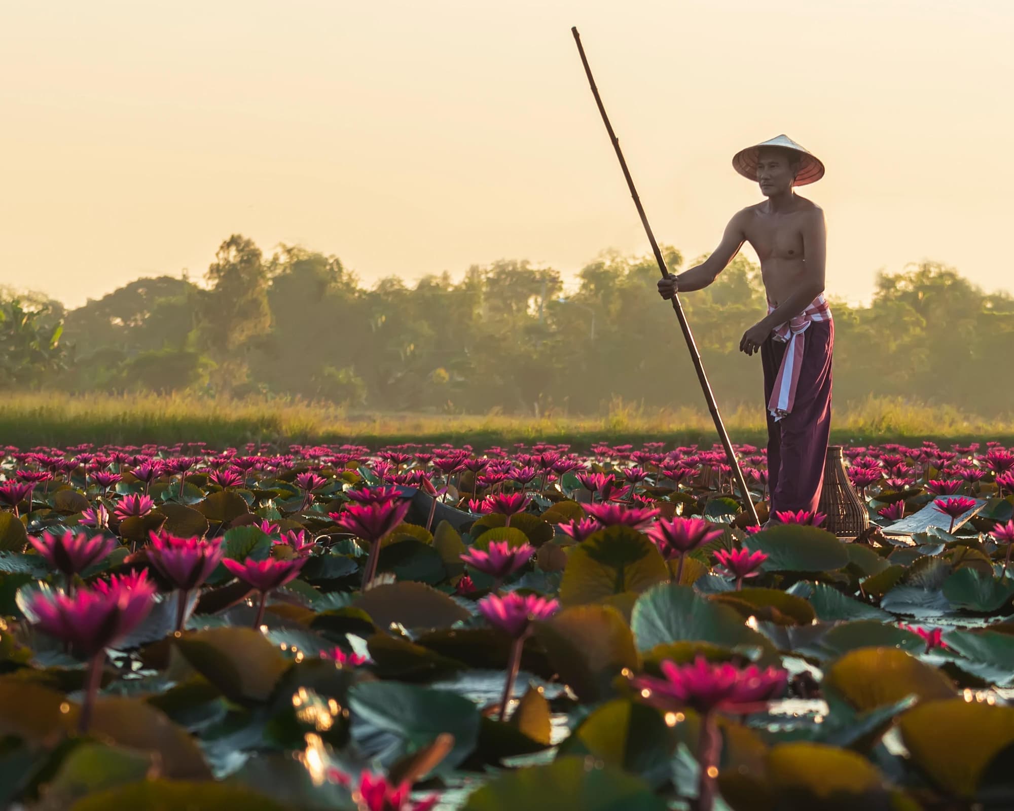 Exclusive du Cambodge – Terres Forêts et Mers 13 jours