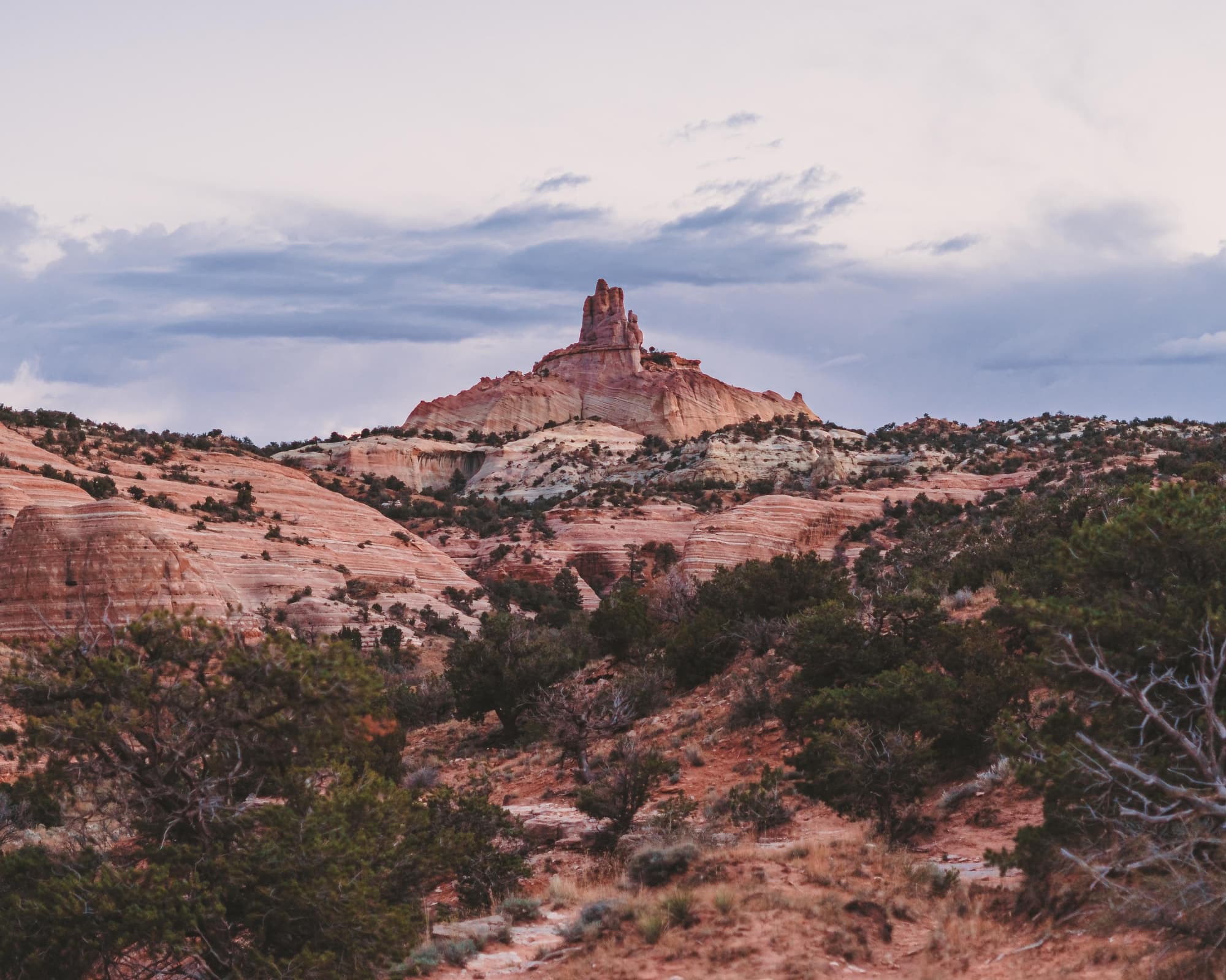 Gallup NM, United States of America