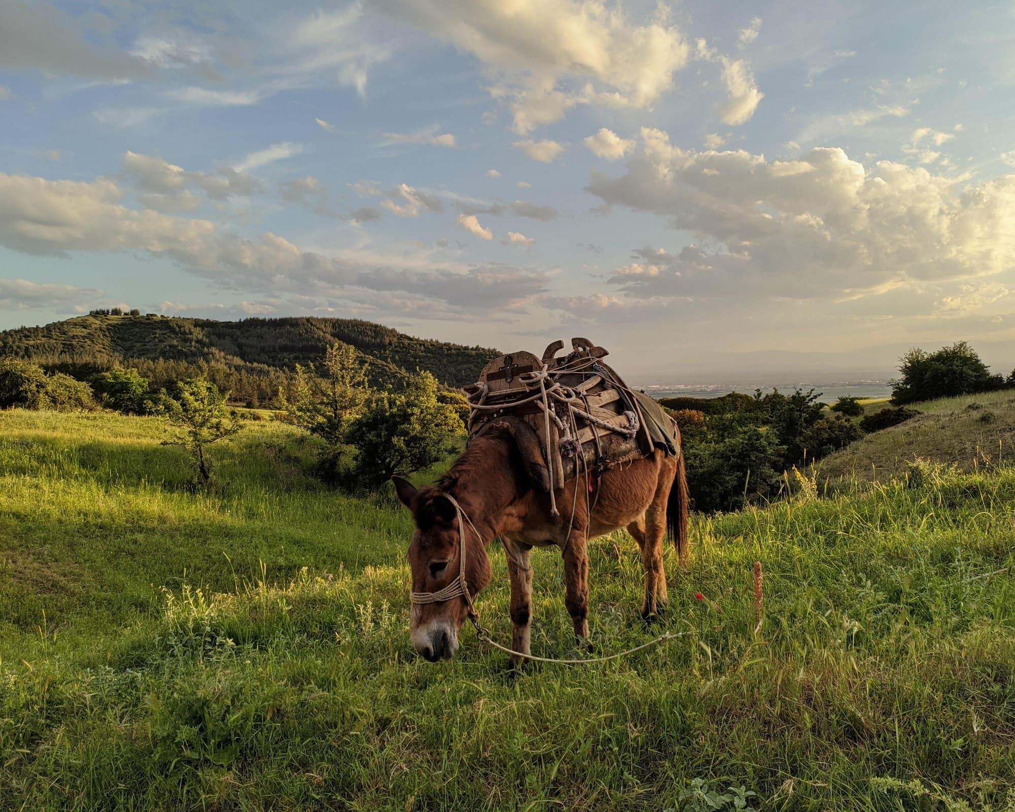 MTPE-10095 MEGA BALCANES - PORCION TERRESTRE