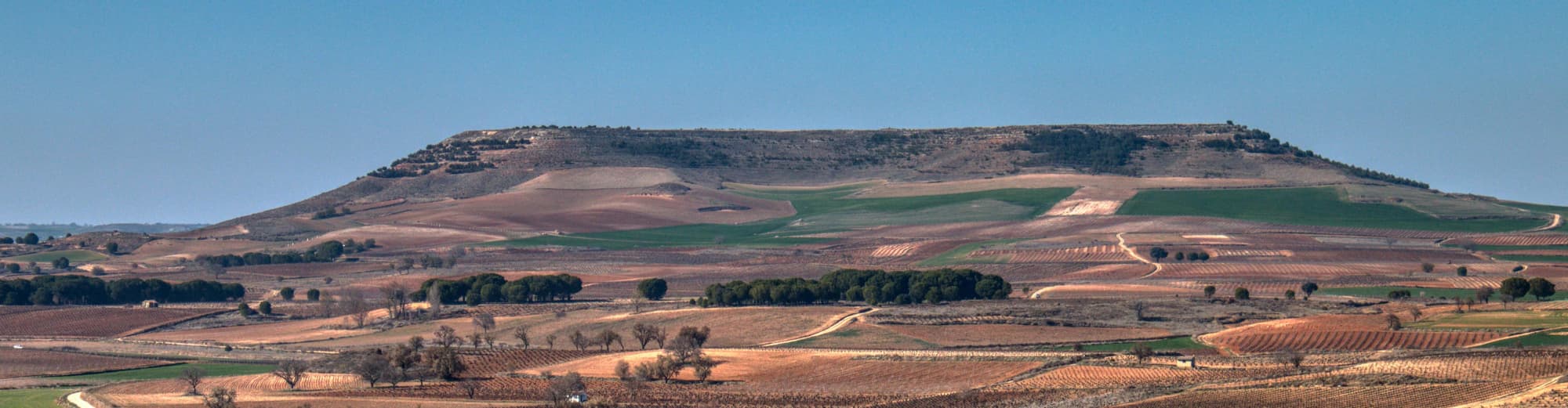 Ribera del Duero, España